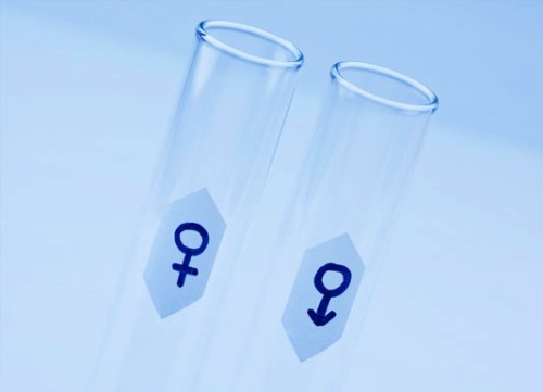 Fertility Treatments Donor Sperm